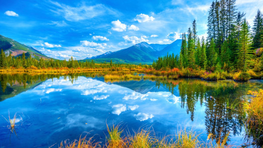 1749598 (a): :1920x1080